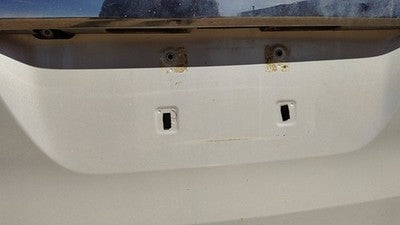 2004 Toyota Sienna License Plate Trim Surround Panel Oem Chrome With Camera