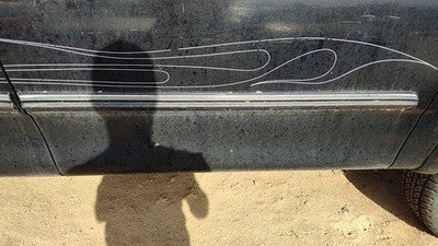97 98 Ford F150 Passenger Right Front Moulding From Door Oem Trim Strip Black Ua
