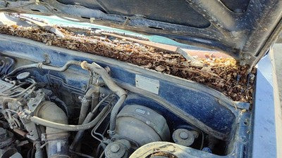 1986 Toyota Camry Driver Left Windshield Wiper Arm Oem Blade Lever