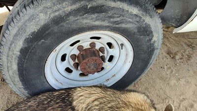 1999-2004 Ford F250 Super Duty 16" Steel Wheel Oem Factory Rim