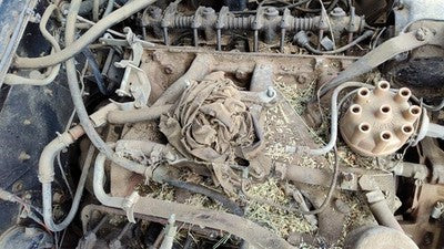 1964 Ford Thunderbird Coupe Intake Manifold Oem 390