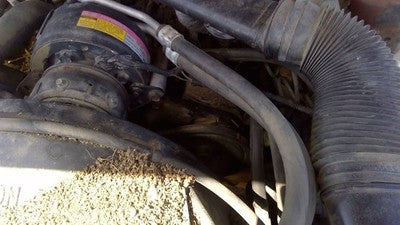 1983 Pontiac Firebird Power Steering Pump With Mount Bracket Oem 2.8l