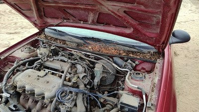 1997-1998 Ford Escort Pair Of Hood Hinges Right Left Set Assembly Oem Red