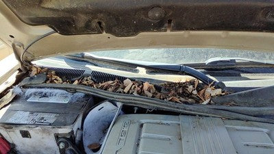 2003-2007 Cadillac Cts Passenger Right Windshield Wiper Arm Oem Blade Lever