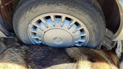 1997-1999 Park Ave Ultra 16' Aluminum Wheel Oem Factory 17 Spoke Rim