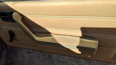 1985 Pontiac Sunbird Passenger Right Door Trim Panel Manual Windows Oem Tan