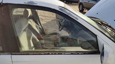 2000-2006 Nissan Sentra Passenger Right Front Side Window Door Glass Oem