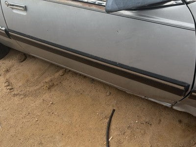 1984 Pontiac Sunbird Passenger Right Front Moulding From Door Oem Trim Strip