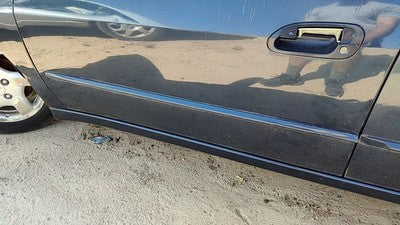 1998-1999 Honda Accord Driver Left Front Moulding From Door Oem Trim Strip Gray