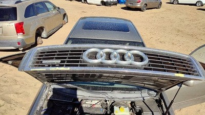 2002-2004 Audi A6 Front Grille Assembly Oem Gold 4B0853651F3Fz