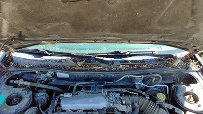 2002 Infiniti G20 Windshield Wiper Cowl Vent Trim Panel Oem Cover