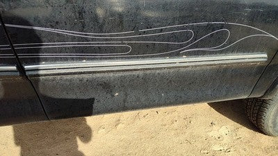 97 98 Ford F150 Passenger Right Front Moulding From Door Oem Trim Strip Black Ua