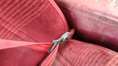 1990 Ford Bronco 2 Passenger Right Front Seat Belt Buckle Receiver Oem Red