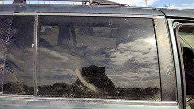 2005-2010 Honda Odyssey Passenger Right Rear Side Window Door Glass Oem Back