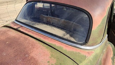 1953 Chevy Bel Air 150 Sedan Rear Chrome Trim Below Back Glass Oem