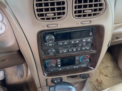 2004 Buick Rainier Trim Bezel Around Radio Surround Dash Panel Oem Tan 332