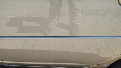 03-07 Cts Driver Left Rear Moulding From Door Oem Back Trim Strip Sand Storm 61U