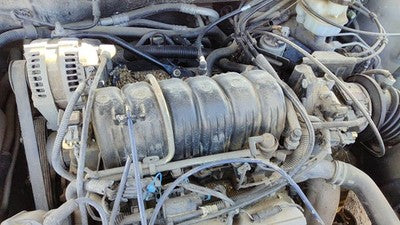 1995-2005 Pontiac Bonneville Upper Intake Manifold Oem 3.8L 89017272