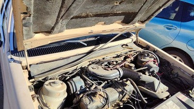 1984-1994 Ford Tempo Pair Of Hood Hinges Right Left Set Assembly Oem Tan