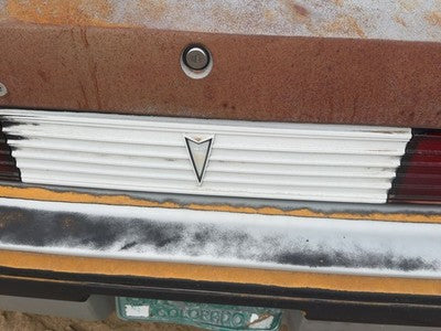 82-84 Pontiac Sunbird License Plate Trim Surround Panel Oem Tail Trunk Finish
