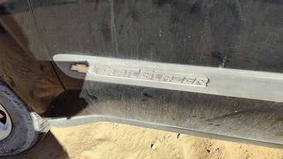03-04 Chevy Trail Blazer Driver Left Front Moulding From Door Trim Strip Black