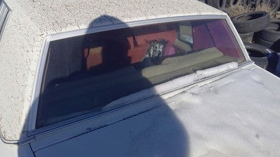 1978 Buick Regal Chrome Trim Surrounding Back Glass Rear Window Oem Moulding