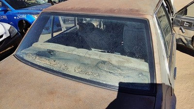 1982-1983 Oldsmobile Firenza Back Glass Rear Window Oem Db06368gt
