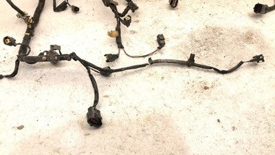 2005 Ford Explorer Wiring Harness For Engine Oem 4.0L