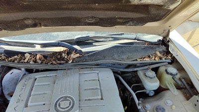 2005 Cadillac Cts Windshield Wiper Cowl Vent Trim Panel Oem Cover