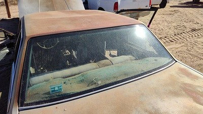 1985-1987 Pontiac Sunbird Back Glass Rear Window 2Dr Oem 20480996