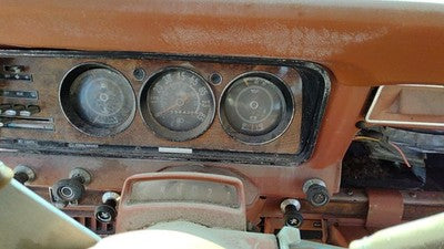1984 Jeep Grand Wagoneer Speedometer Cluster Instrument Gauges Panel Oem Dash