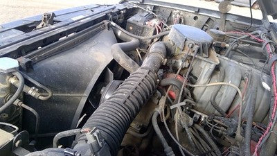 1995 Ford Bronco Air Intake Tube Resonator Pipe Elbow Rubber Hose Snorkel 5.0L