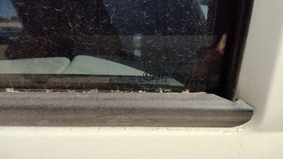 2002-2006 Jeep Liberty Passenger Right Rear Side Window Door Glass Oem Back