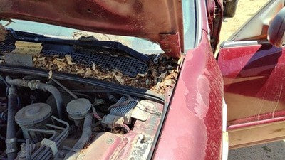 1994-1998 Honda Accord Driver Left Hood Hinge Assembly Oem Red 3946860
