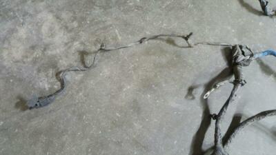 OEM CARAVAN 2007 Front Body Head Light Lamp Wiring Harness Wire Unit Complete