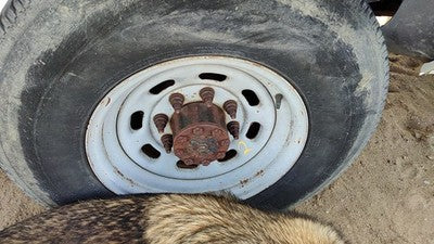 1999-2004 Ford F250 Super Duty 16" Steel Wheel Oem Factory Rim