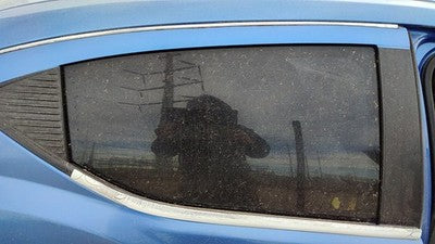 2008-2014 Dodge Avenger Passenger Right Rear Side Window Door Glass Oem Back