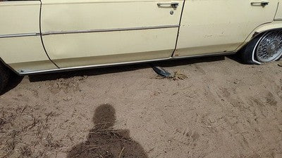 1980 Cadillac Deville Driver Left Lower Rocker Panel Moulding Side Skirt Oem