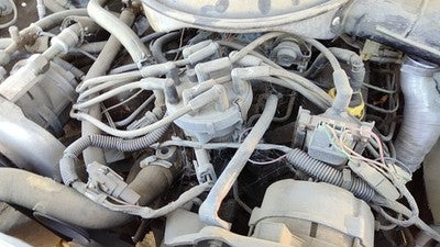 1985 Mercury Grand Marquis Ignition Distributor Oem 5.0L E5Tz12127B