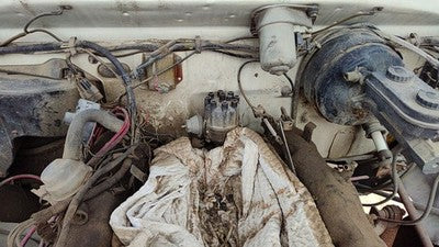 1981-1984 Dodge Ram W250 Ignition Distributor Oem 5.2L 3755202