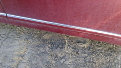 10-12 Lexus Hs250h Hybrid Passenger Right Front Moulding From Door Trim Red 3r1