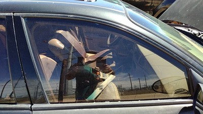 1997-2004 Buick Regal Passenger Right Front Side Window Door Glass Oem 10439231
