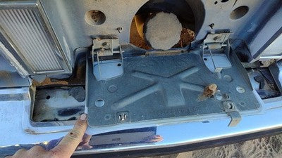 1984 Deville Sedan Fuel Tank Door With Hinge Gas Lid License Plate Bracket Mount