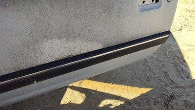 1985 Pontiac Sunbird Driver Left Front Moulding From Door 2Dr Oem Trim Strip