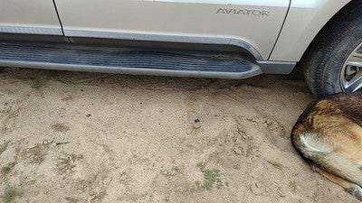 2003 Lincoln Aviator Passenger Right Side Step Running Board Oem