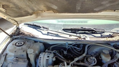 2004 Pontiac Grand Prix Windshield Wiper Cowl Vent Trim Panel Oem Cover