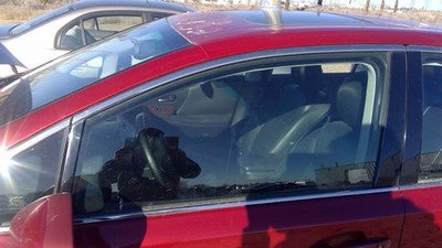 2010-2012 Lexus Hs250h Hybrid Driver Left Front Side Window Door Glass Oem