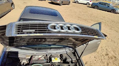 2002-2004 Audi A6 Front Grille Assembly Oem Gold 4B0853651F3Fz