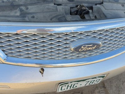 2005-2007 Ford Fivehundred Front Grille Assembly Oem Silver Birch Jp 6G1Z8200B
