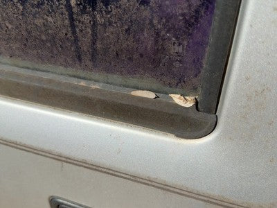 1991 Isuzu Pup Driver Left Front Belt Moulding From Door Oem